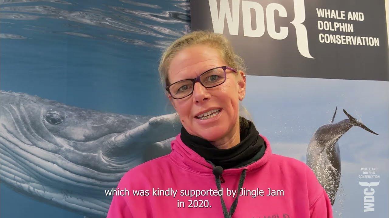 jingle-jam-2020-wdc-save-a-species-project-november-2022-update