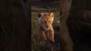 Download Lagu Story WA lagu barat keren See you again MP3