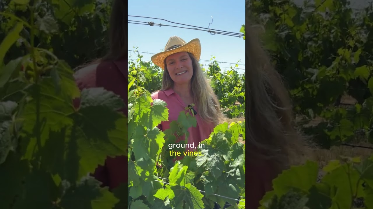 Science, soil and shared goals in every row. 🌱 