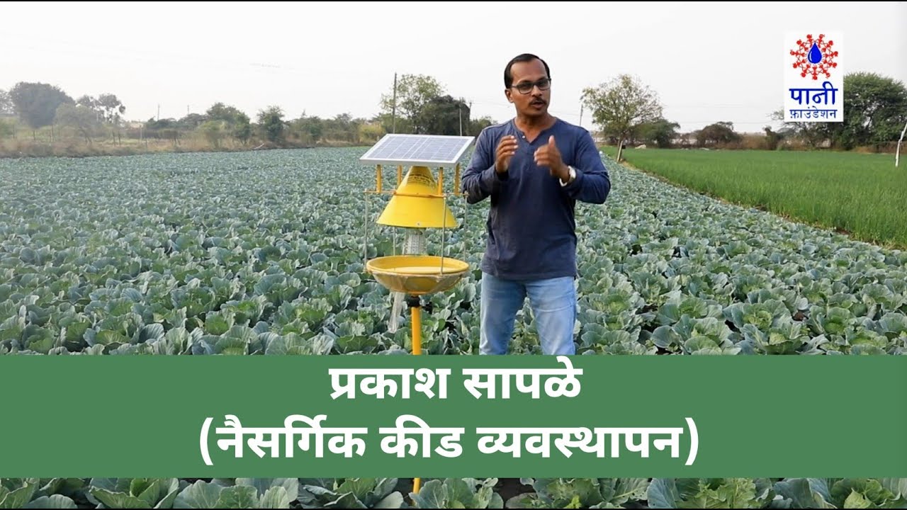 प्रकाश सापळे - नैसर्गिक कीड व्यवस्थापन | Light Traps - Natural Pest Management | Paani Foundation