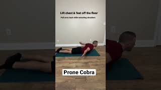 Prone Cobra - Mobility Exercise - Workout Warmup