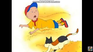 2 Shows That Have Hollywoodedge, Cat Domestic Meow Ang At010503