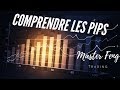 Formation trading gratuite dbutant leon 2 comprendre les pips