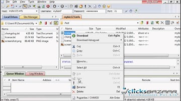 Managing files in CuteFTP