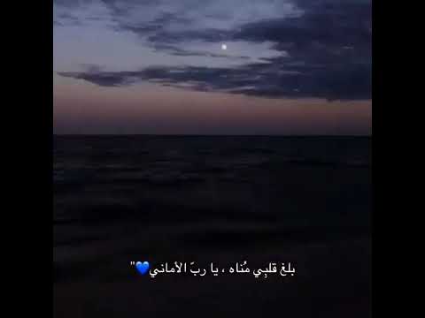 إن الله دائم ا ي حق ق المستحيلات بالطريقة الأكثر استحالة فاطمئن