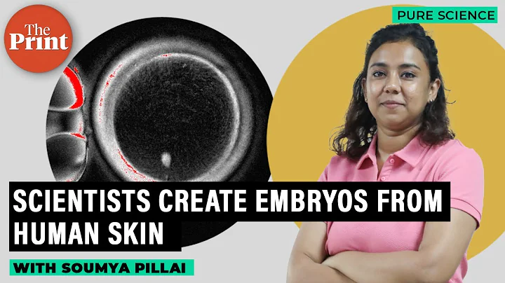 Biggest breakthrough in biology? Embryos from human skin cells