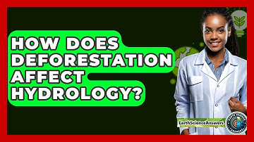 How Does Deforestation Affect Hydrology? - Earth Science Answers