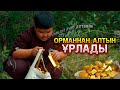 Табиғат тынысы  / Қазақша кино 2023