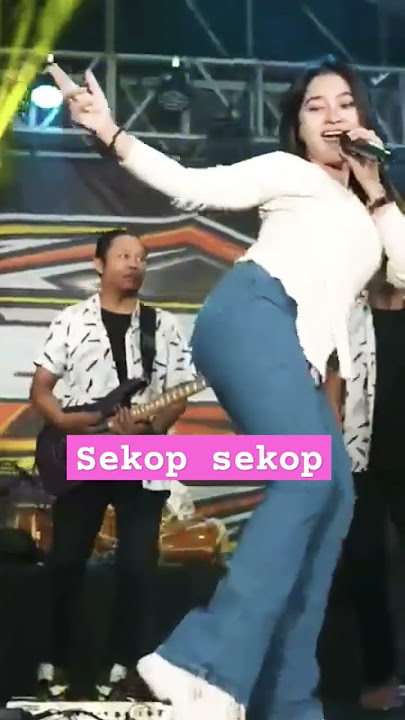 REVA WIJAYA || SEKOP-SEKOP #revawijaya #djreva #sekop #dangdutkoplo #storywa #viralshort
