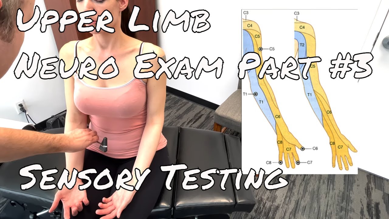 Upper Limb Neuro Exam Part 3 Deep Tendon Reflexes, Sensory YouTube