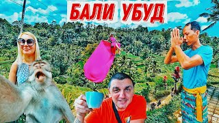 Бали. Убуд. Покусали обезьяны. Пью кофе из какашек!