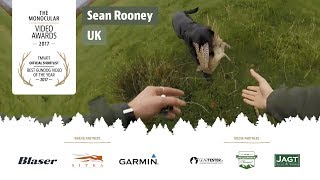 Great dog work on Scottish pheasant hunting: the Monocular Hunting Video Awards 2017