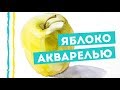 Как нарисовать яблоко акварелью — kalachevaschool.ru — Пошаговый урок Вероники Калачевой
