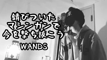 錆びついたマシンガンで今を撃ち抜こう Wands をカラオケで歌ってみた