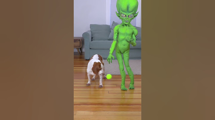Interspecies Love❤️: Dog + Alien 🐶❤️👽 #shorts #dog #alien