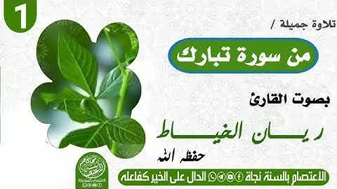 تلاوة جميلة بصوت القارئ ريان الخياط من سورة الملك