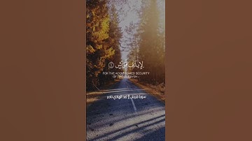 لإيلاف قريش || سورة قريش