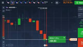 Binary option terminator bot destroyer Golden bot