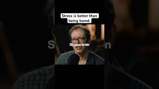 Pressure Gives Life Meaning - Robert Greene