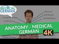 Medical German - Anatomie