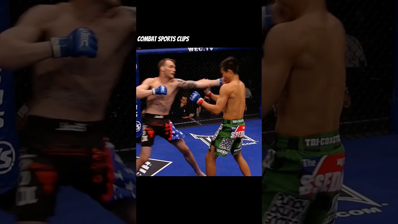 Brutal high kick knockout!                                    