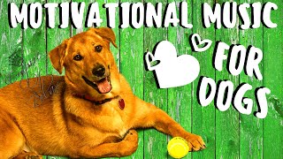 ★ The Most Motivational Music Video For Dogs - Pets ★ Motivational Video Dog [Guaranteed] ★