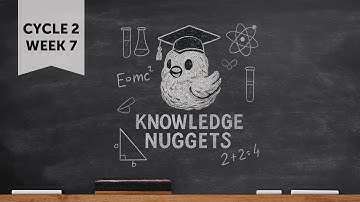 What are six forms of pollution? Cycle 2 Week 7