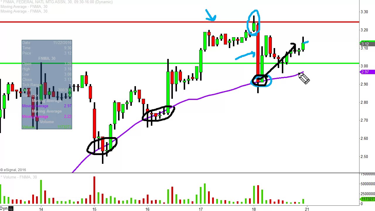 Fannie Mae Stock Chart