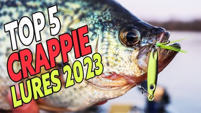 EXPOSING OUR SECRET LURES FOR CRAPPIE FISHING! — Baits you NEED