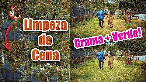 Como mudar a cor da grama no Photoshop?