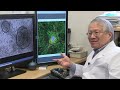 Cellular Movement and Assembly in Health and Cancer - Ken Yamada, NIH Scientist