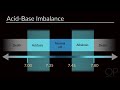 "Interpreting Arterial Blood Gases ABGs" by Michael Greenlee for OPENPediatrics