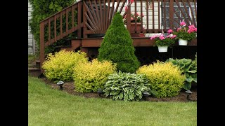 40  Razne ideje za dvoriste - Garden ideas!! #25