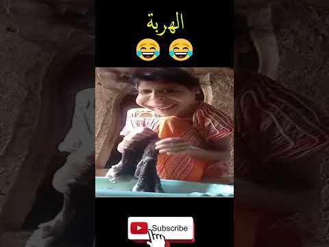 جرعة من الضحك قد تغي ر يومك كليا مواقف مضحكة
