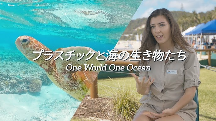 解説 海洋プラスチックごみ問題とは Youtube 解説 海洋プラスチックごみ問題とは Youtube