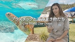 山下歩 Ayumu Yamashita Youtube