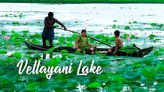 Vellayani Lake, Thiruvananthapuram