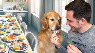 The Ultimate Dog Taste Tournament by Ellie Golden Life 24,659 views 1 month ago 8 minutes, 2 seconds