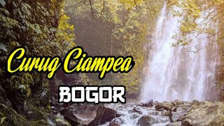 Keindahan camping di hutan pinus curug ciampea || Curug ciampea bogor