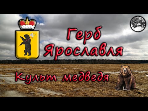 Герб Ярославля. Культ медведя и медвежья свадьба в Ярославском Поволжье.