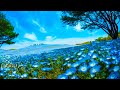 GENTLE DREAM - RELAXING MUSIC - Deep Sleep Music - Beautiful Nature with Soothing Relaxing Music.