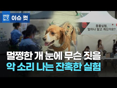 &amp;quot;멀쩡한 <strong>개</strong> 눈에 무슨짓을&amp;quot; 악 소리 <strong>나는</strong> 잔혹한 실험 / 연합뉴스 (Yonhapnews)