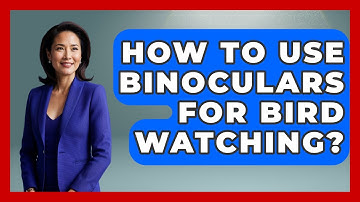 How To Use Binoculars For Bird Watching? - Bird Watching Diaries