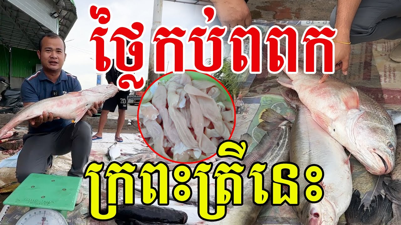 ត្រូវប៉ាន់ហើយ ត្រីនេះមានហាងឆេងល្អណាស់