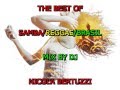 The best of samba reggae brasil mix dj nicola bertuzzi