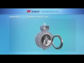 Triple offset Butterfly Valve