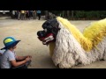 ［HD］沖縄琉球村 獅子舞 Lion dance Ryukyumura,Okinawa,Japan