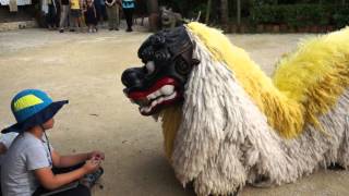 ［HD］沖縄琉球村 獅子舞 Lion dance Ryukyumura,Okinawa,Japan