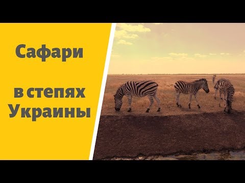 Сафари в степях Украины:  заповедник и дендропарк Аскания-Нова