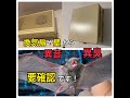 「コウモリ駆除」壁、換気扇、換気口から異音異臭がしたらコウモリの棲家の可能性が。。。